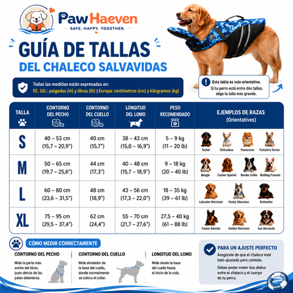 Salvavidas para perro